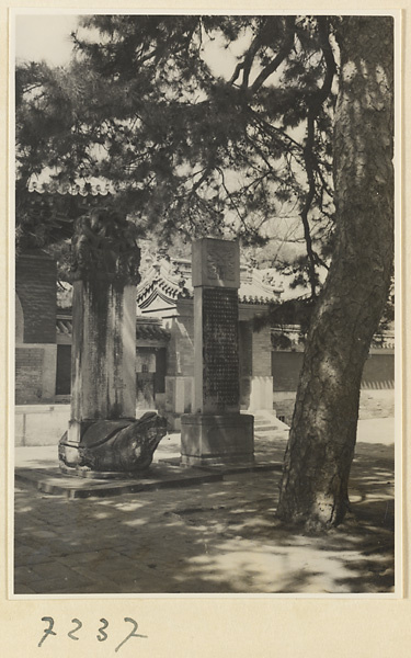 Courtyard with stela and tortoise stela at Jie tai si