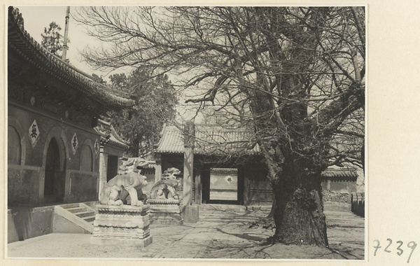 Facade detail of a temple building at Jie tai si showing entrance with inscriptions, a pair of stone lions, and a stone stela