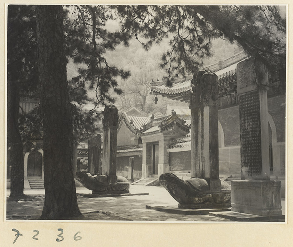 Courtyard with stelae and tortoise stelae at Jie tai si