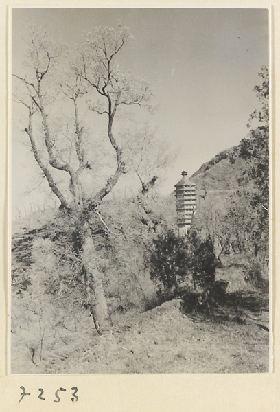 Close-eaved pagoda at Jie tai si