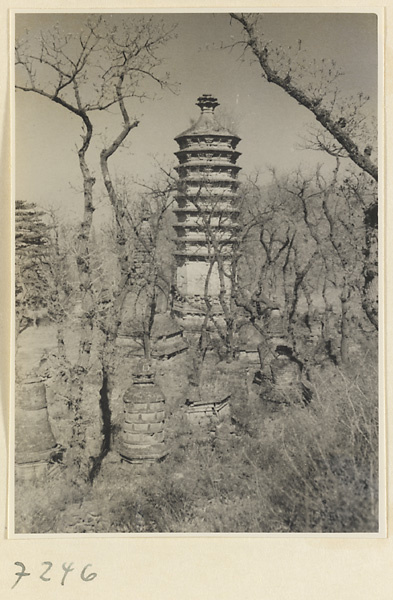 Close-eaved and stupa-style pagodas at Jie tai si