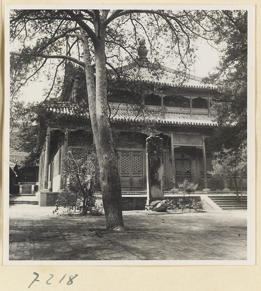 Tree and tortoise stela in front of a two-story, double-eaved temple building at Jie tai si