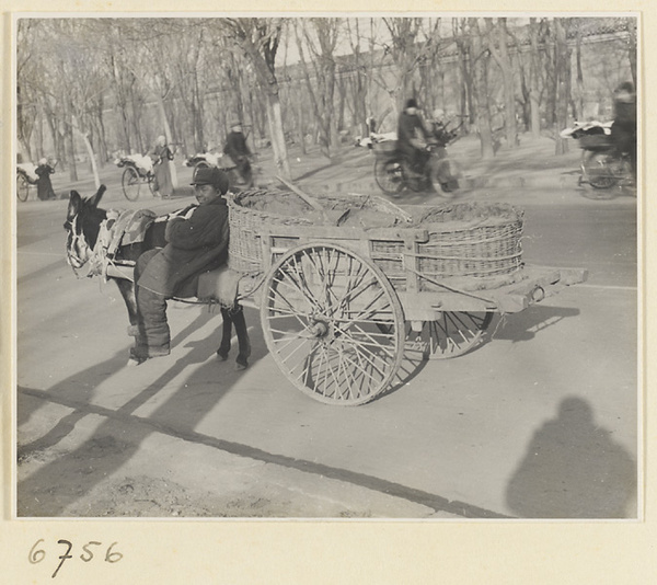 Street with donkey cart, rickshaws, and bicycles