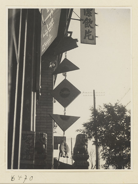 Shop signs for a pharmacy