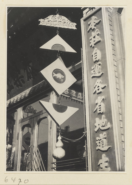 Shop signs for a pharmacy