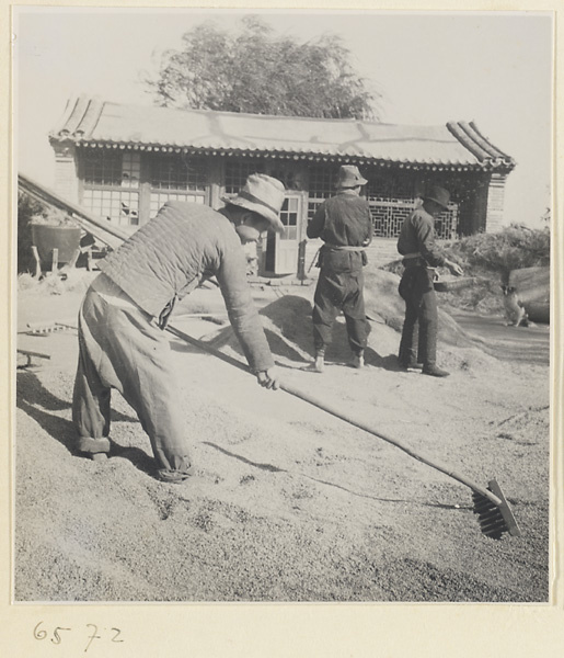 Man raking grain