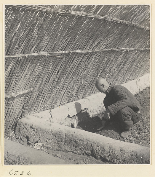 Man planting vegetables