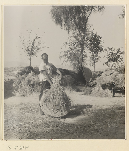 Man threshing grain against a stone