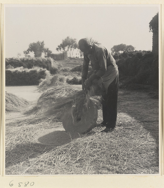 Man threshing grain against a stone