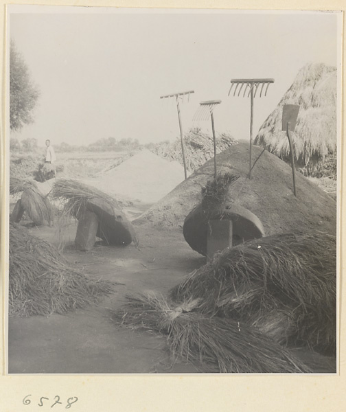 Threshing area on a farm