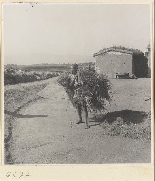 Man carrying sheaves of grain