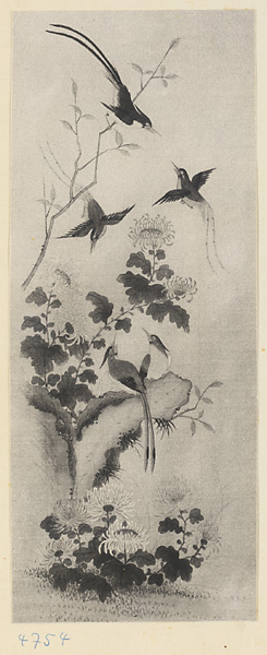 Painting of birds and flowers on silk