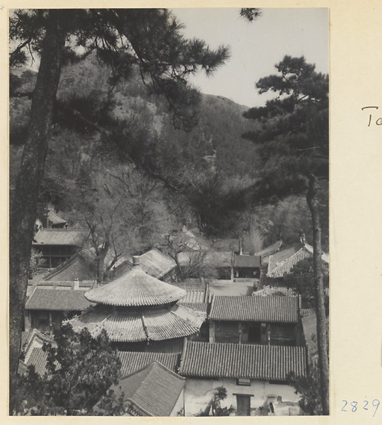 Roofs of temple buildings at Tan zhe si