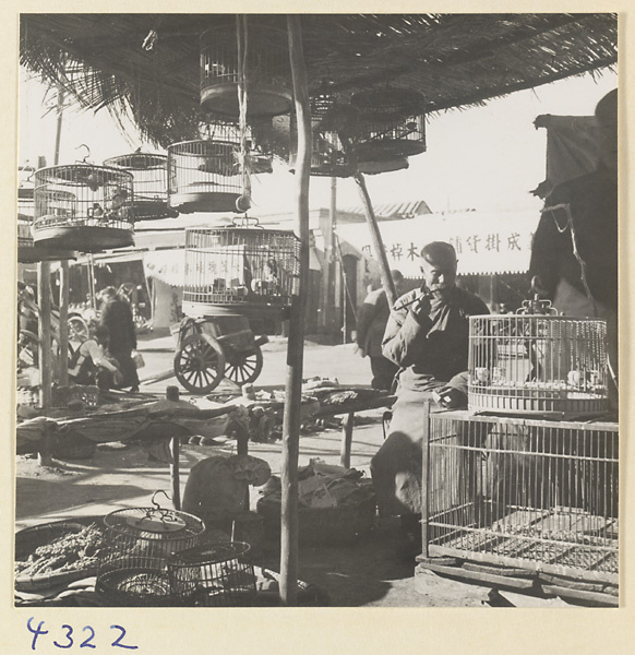 Bird vendor with caged birds at a bird market