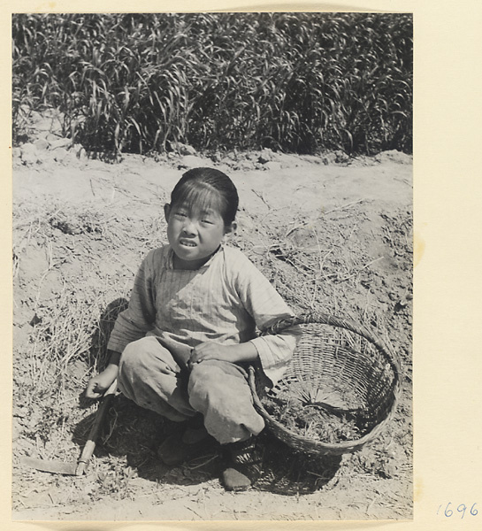 Girl with basket and scythe in a field