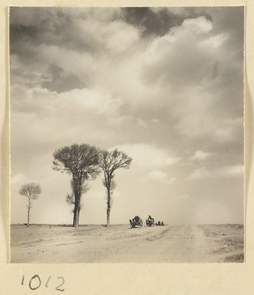 Donkey carts passing trees on a road near the Yun'gang Caves