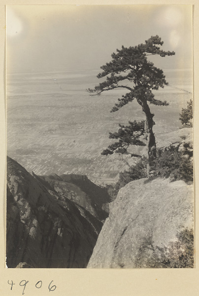Pine tree and mountain landscape on Hua Mountain with Yellow River and northern plain in background