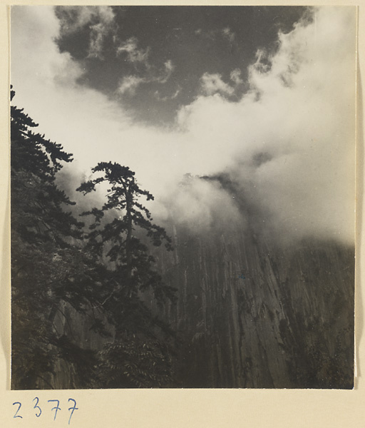 Mountain landscape with pine trees and rock face on Hua Mountain