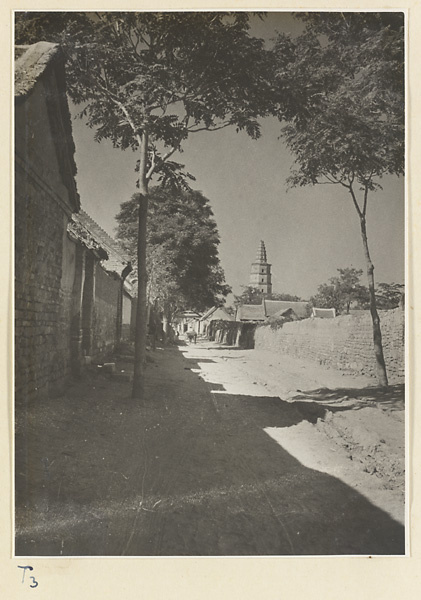 Street in Qufu with Xing long si ta in background