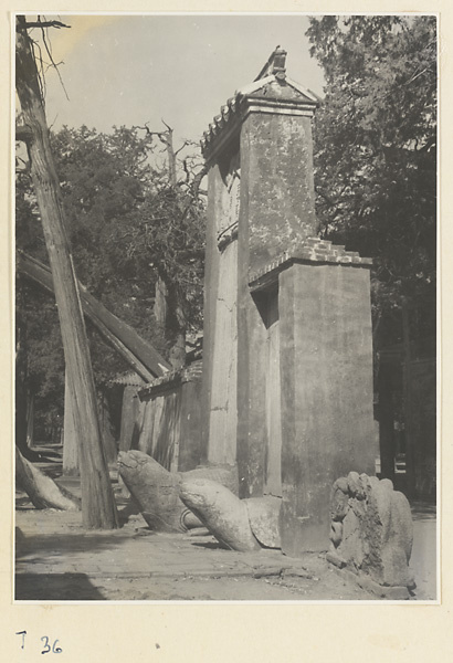 Tortoise stelae in a courtyard at the Kong miao in Qufu