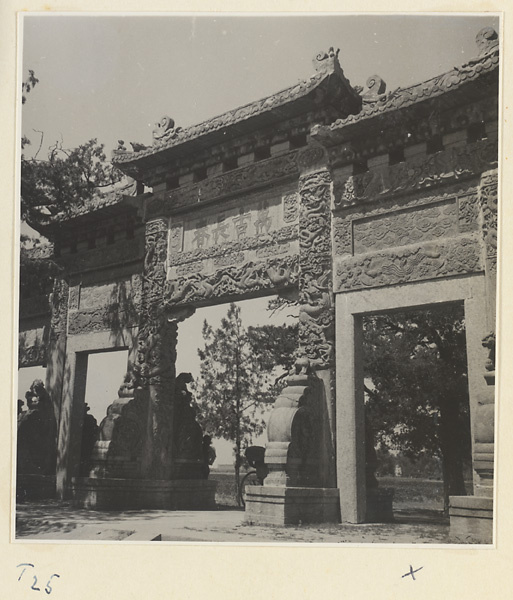 Wan gu chang chun fang on the spirit road at Zhi sheng lin in Qufu