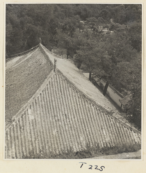 Temple roof at Ling yan si