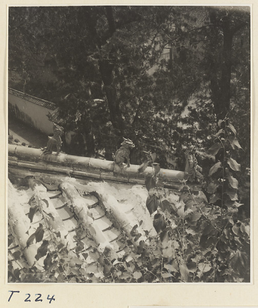 Detail of temple roof at Ling yan si showing roof ornaments