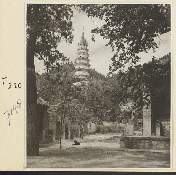 Courtyard with stone stelae at Ling yan si with Pi zhi Pagoda in background