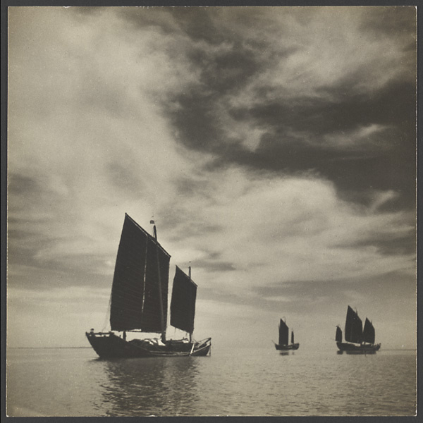 Fishing junks under sail off the Shandong coast