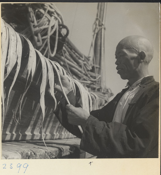 Man drying fish on a junk on the Shandong coast