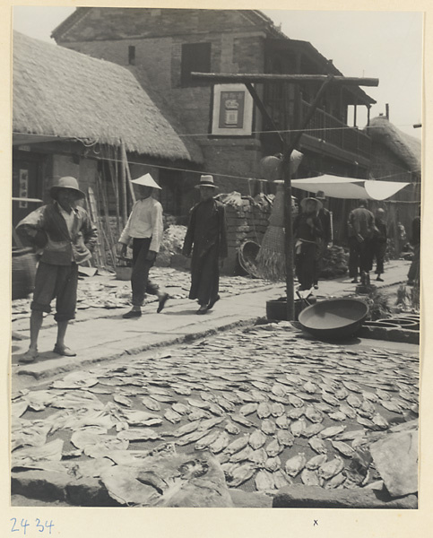 Dried fish spread out at a street market in a fishing village on the Shandong coast