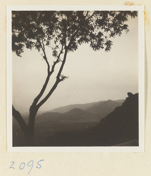 Tree and mountain landscape on the pilgrimage route up Miaofeng Mountain