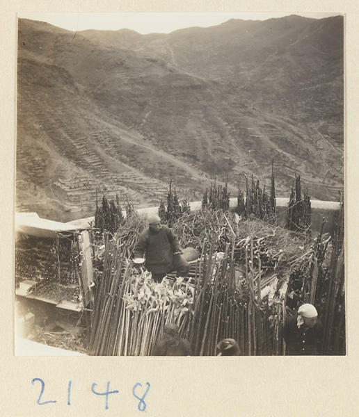 Men selling peach-wood walking sticks beside the pilgrimage trail on Miaofeng Mountain