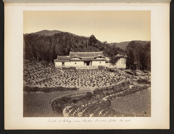 Temple at Peling [i.e. Peiling], near Foochow. Tea and rice fields