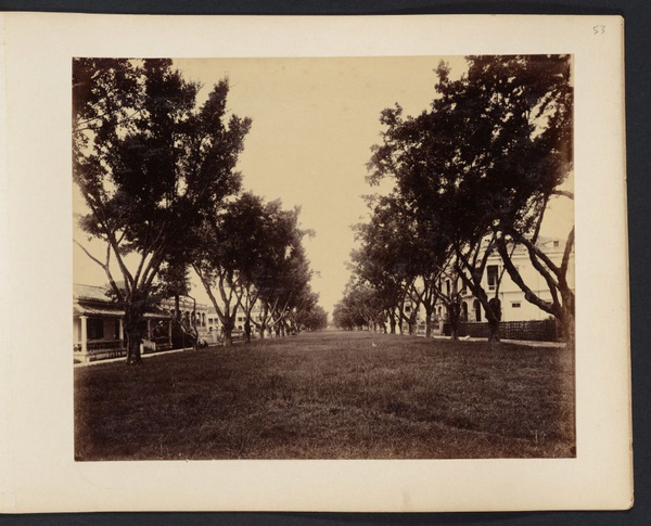 Open area between tree-lined sidewalks and foreign residences on Shameen Island, Canton