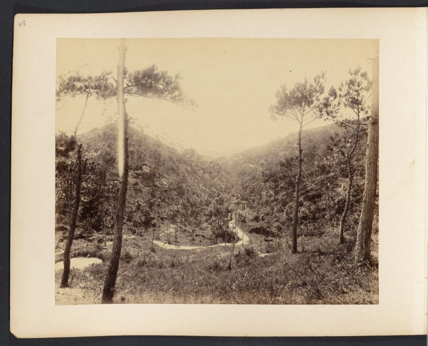 Dirt road running through valley between pine-covered hills near Canton