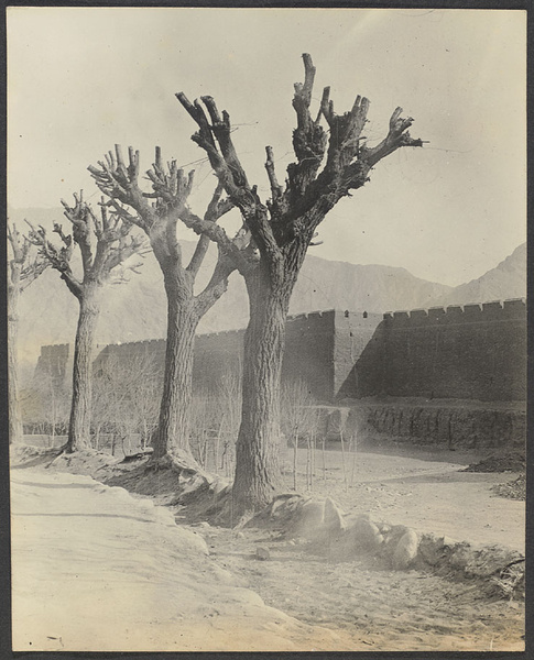 Shunhwa, Tsinghai. Outside the wall from the Holton's home.