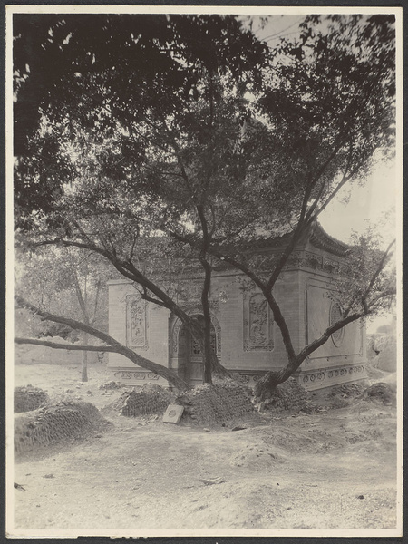 Kehtsikung. One of the ""kumbas"" or tomb of a Salar saint. Note the trees growing out of the graves.