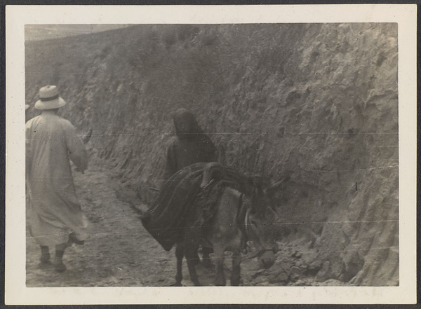 Around Tsa Pa.  A Moslem women [sic] with her veil over her back.  Her animal carries grain to market.