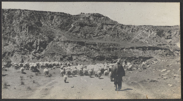 Grassland, N. E. Kansu. Typical of north of Kuyuan.