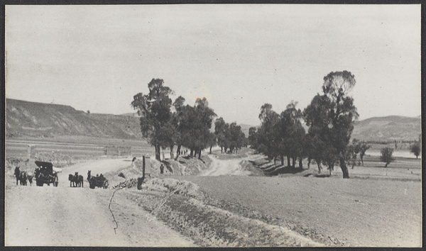 Along the old Silk Road to Europe. Trees planted by General Tso Chung-t'ang on the campaign to capture Yakoob Beg in 1876.