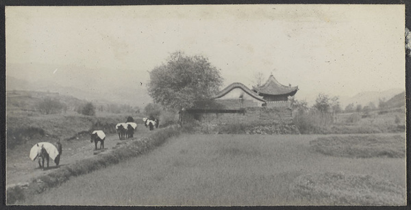 The Kuan Shan, Shensi. Kumpei near Kukuan, Shensi.