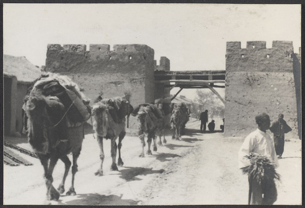 Up from Kuyuan.  Camel trains leaving San Ying.