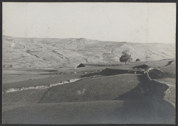 Chiang Chia Ch'uan, Kansu.  Looking N. toward Hsuan Hua Kang.