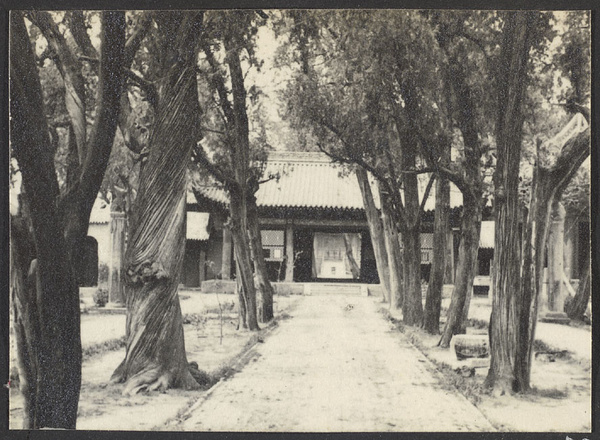 Sian.  The Confucian Temple.  From the entrance.