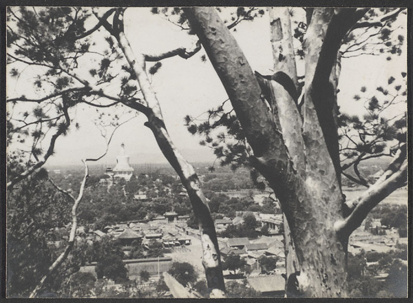 Beijing.  Bai ta seen from Jingshan Gong Yuan.