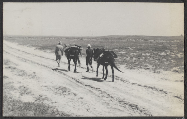On the border of the Odos Desert. Salt incrusted earth.