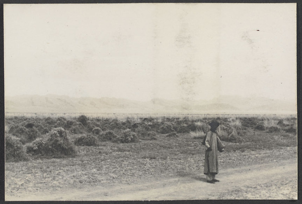 Northern Ningsia.  All desert is not sand.  Yin Mountains in background.