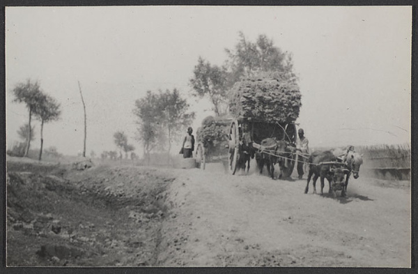 Lin Wu Hsien and across the Yellow River.  Ningsia carts.