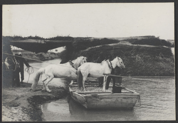 What Marco Polo Called Tenduc - Eastern Suiyuan. Notice the bridge.